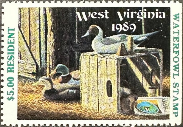 Decoys