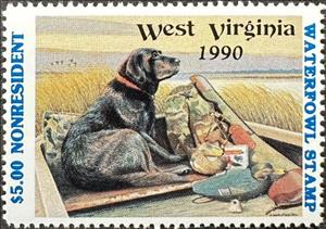 Stamp, Labrador (Canis lupus familiaris), Decoy, West Virginia (WV),  , Animals (Fauna), Birds, Dogs, Ducks, Hunting, Mammals