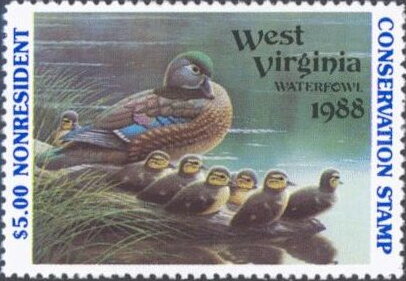 Stamp, Wood duck (Aix sponsa), West Virginia (WV),  , Animals (Fauna), Birds, Ducks, Hunting