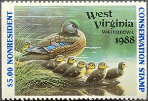 Stamp, Wood duck (Aix sponsa), West Virginia (WV),  , Animals (Fauna), Birds, Ducks, Hunting