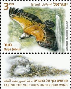 Stamp, Griffon Vulture (Gyps fulvus), Israel,  , Birds, Birds of Prey, Animals (Fauna), Vultures