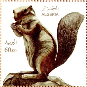 Stamp, Barbary Squirrel (Atlantoxerus getulus), Algeria,  , Animals (Fauna), Mammals, Squirrels