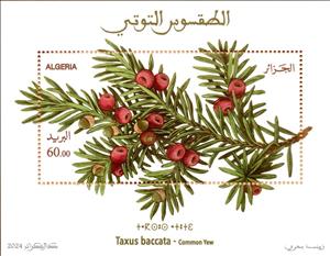 Souvenir Sheet, Common Yew (Taxus Baccata), Algeria,  , Fruits and Berries, Plants (Flora)