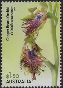 Stamp, Copper Beard Orchid (Calochilus campestris), Australia,  , Orchids