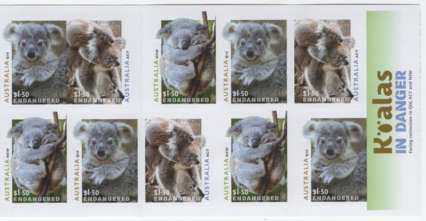Koalas in Danger