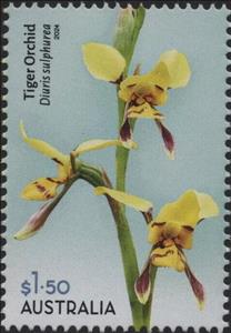 Stamp, Tiger Orchid (Diuris sulphurea), Australia,  , Orchids