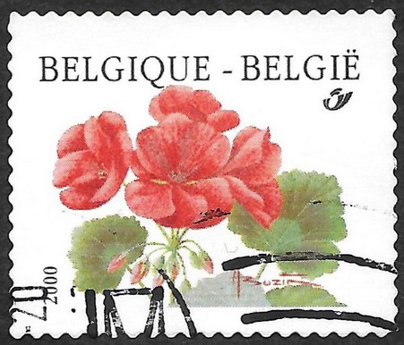 Geranium Pelargonium Coil stamp 2000