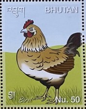 Rooster