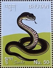 Snake