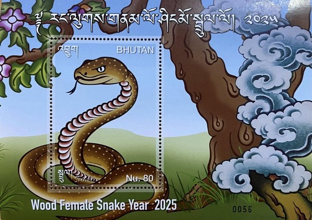 Year of the Snake 2025
