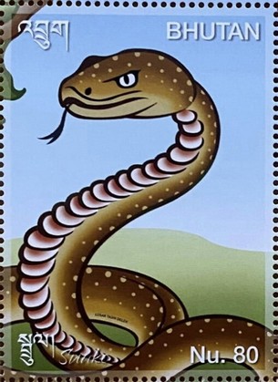 Year of the Snake 2025