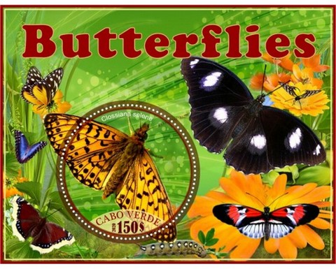 Fauna Butterflîes I