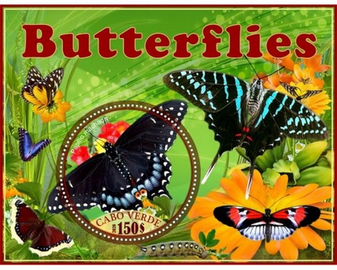 Fauna Butterflies I