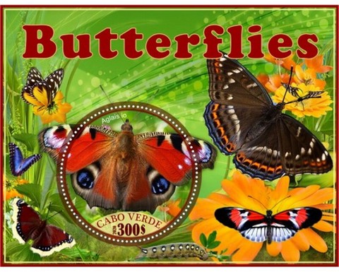 Fauna Butterflies I