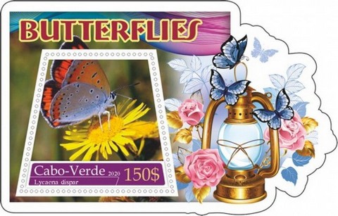 Fauna Butterflies II