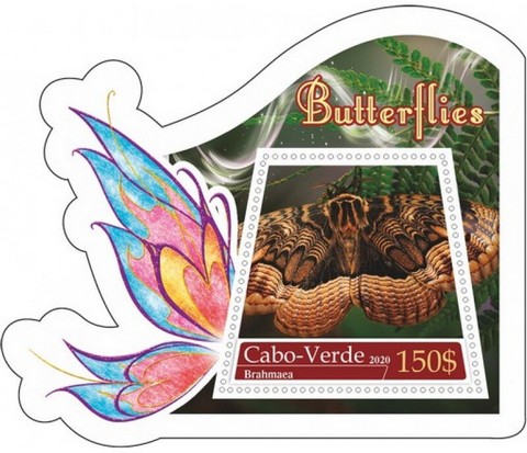Fauna Butterflies III