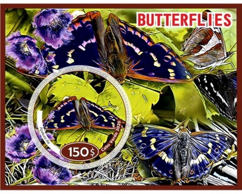 Fauna Butterflies V