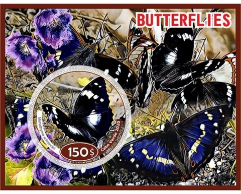 Fauna Butterflies V