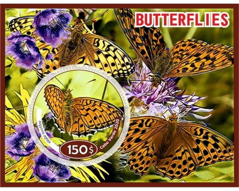 Fauna Butterflies V