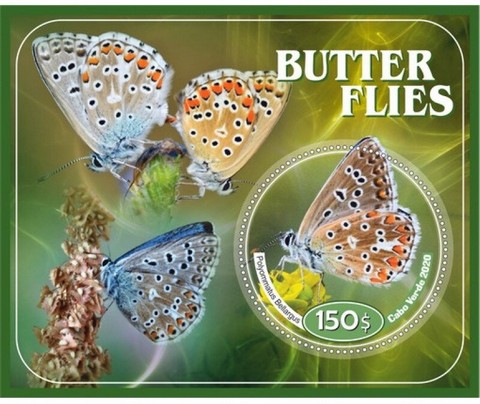 Fauna Butterflies VI