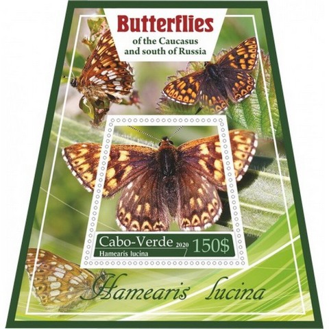 Fauna Butterflies VII