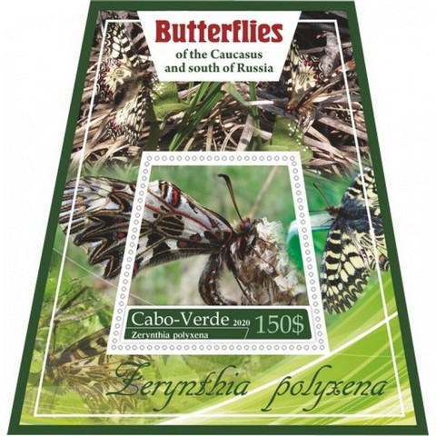 Fauna Butterflies VII