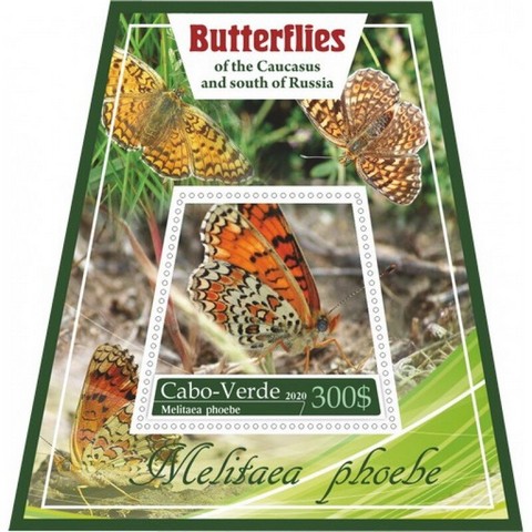 Fauna Butterflies VII