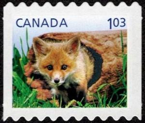 Stamp, Red Fox (Vulpes vulpes), Canada,  , Animals (Fauna), Foxes, Infant Animals, Mammals