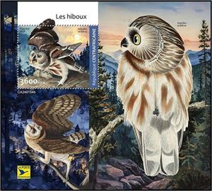 Souvenir Sheet, Aegolius acadicus, Central African Republic,  , Birds, Owls