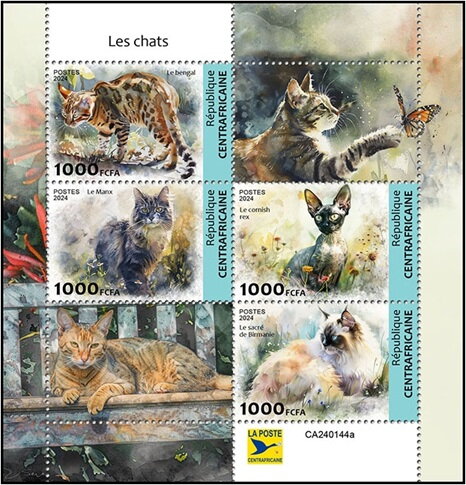 Domestic Cats