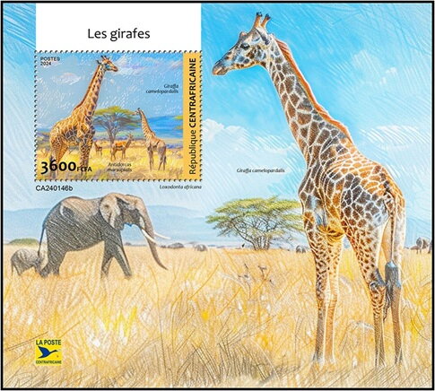 Giraffa camelopardalis and Antidorcasmarsupialis