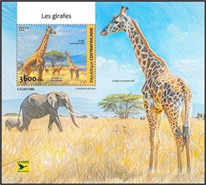 Souvenir Sheet, Giraffa camelopardalis and Antidorcasmarsupialis, Central African Republic,  , Animals (Fauna), Giraffes