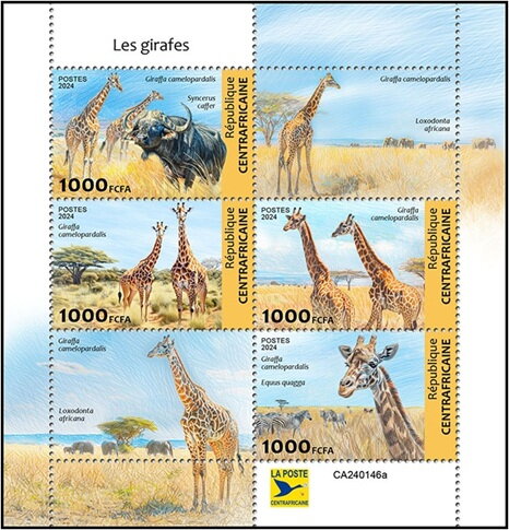 Giraffes