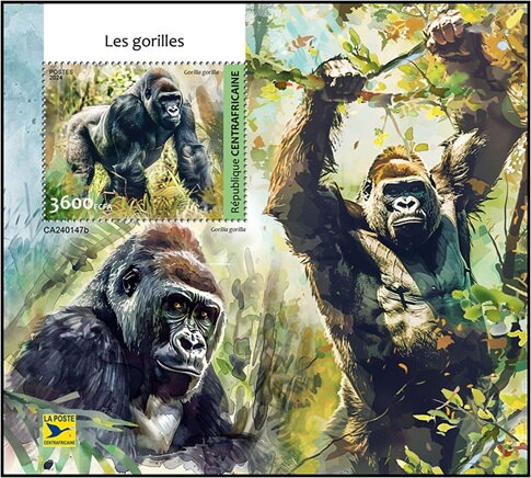 Gorilla gorilla