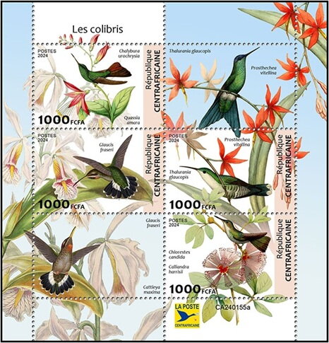 Hummingbirds