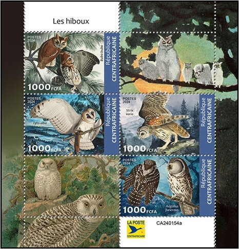 Owls