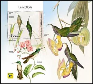 Souvenir Sheet, Phaethornis intermedius, Central African Republic,  , Birds, Hummingbirds