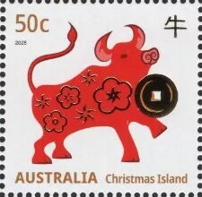 Cattle