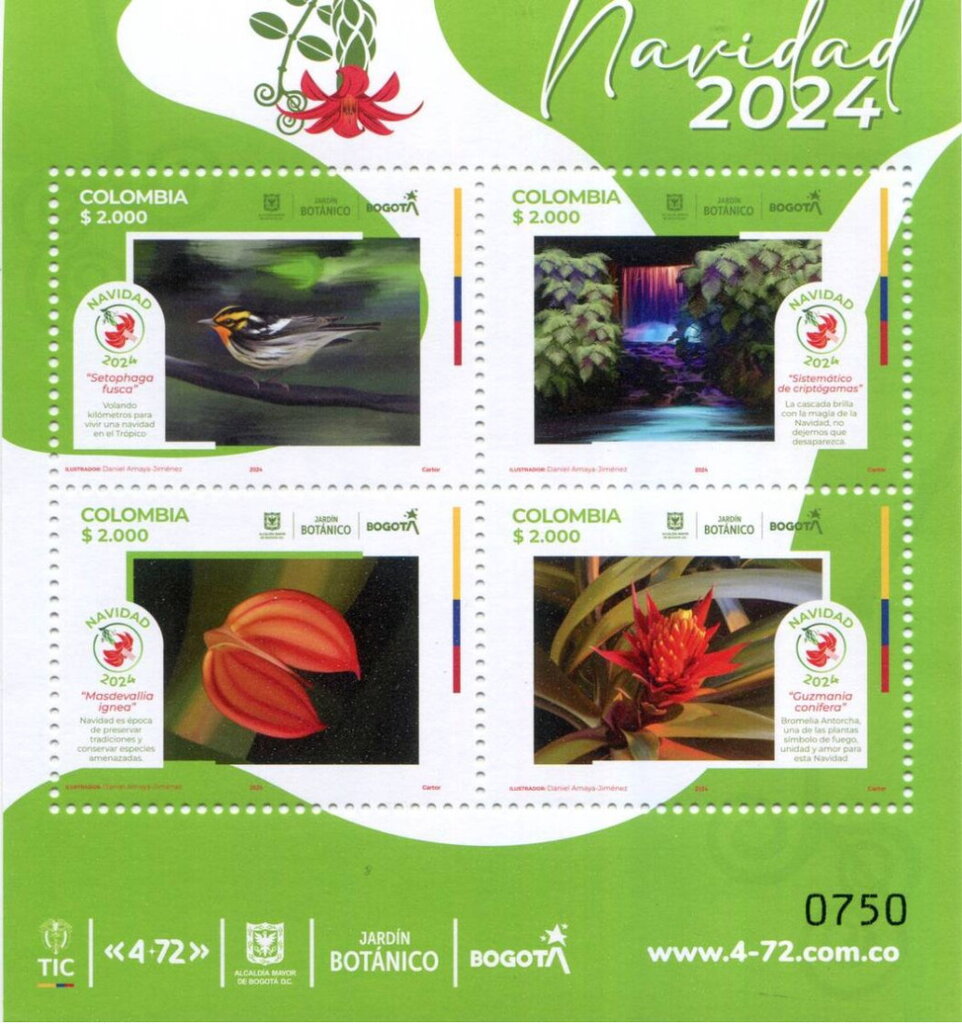 Christmas 2024 : Bogotá Botanical Garden