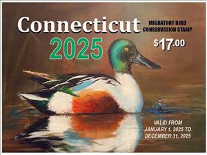 Stamp, Ducks, Connecticut (CT),  , Animals (Fauna), Birds, Ducks, Hunting