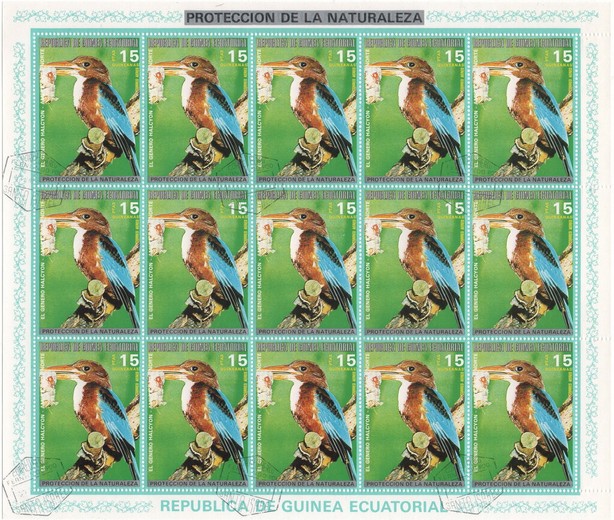 White-throated Kingfisher (Halcyon smyrnensis)