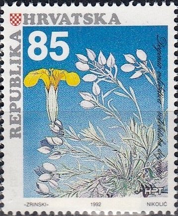 Degenia velebitica