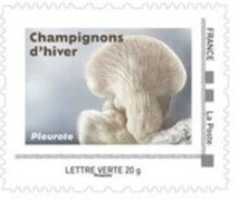 Stamp, Oyster Mushroom / Pleurote (Pleurotus ostreatus), France,  , Mushrooms, Winter