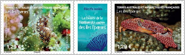Biodiversity of the Îles Éparses