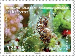 Biodiversity of the Îles Éparses