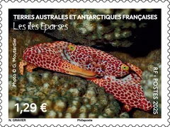 Biodiversity of the Îles Éparses