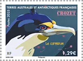 Stamp, Cormorant (Phalacrocoracidae), Crozet, French Southern and Antarctic Lands (TAAF),  , Art, Birds