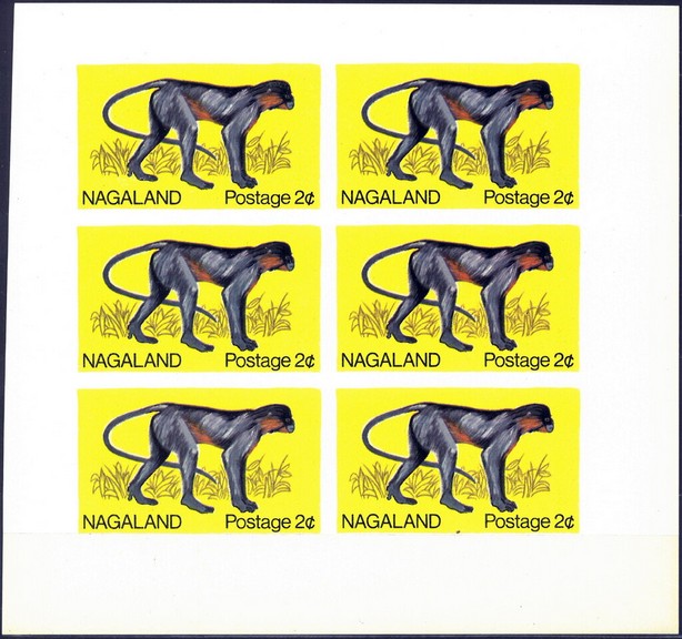 Fauna