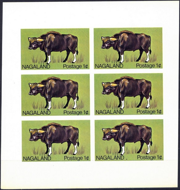 Fauna