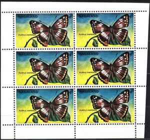 Mini Sheet, Purple Emperor (Apatura iris), India, Nagaland,  , Animals (Fauna), Butterflies and Moths, Insects